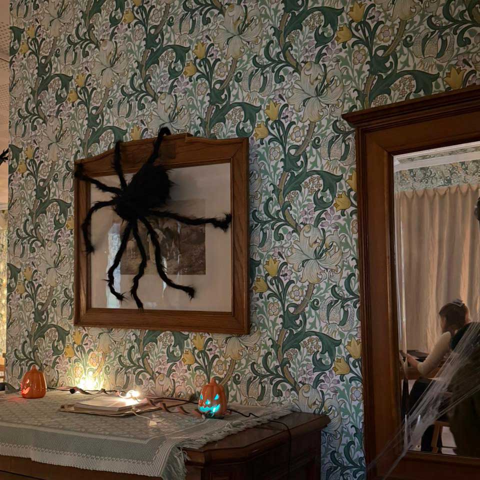 Stor leksaksspindel på en tavla inomhus.