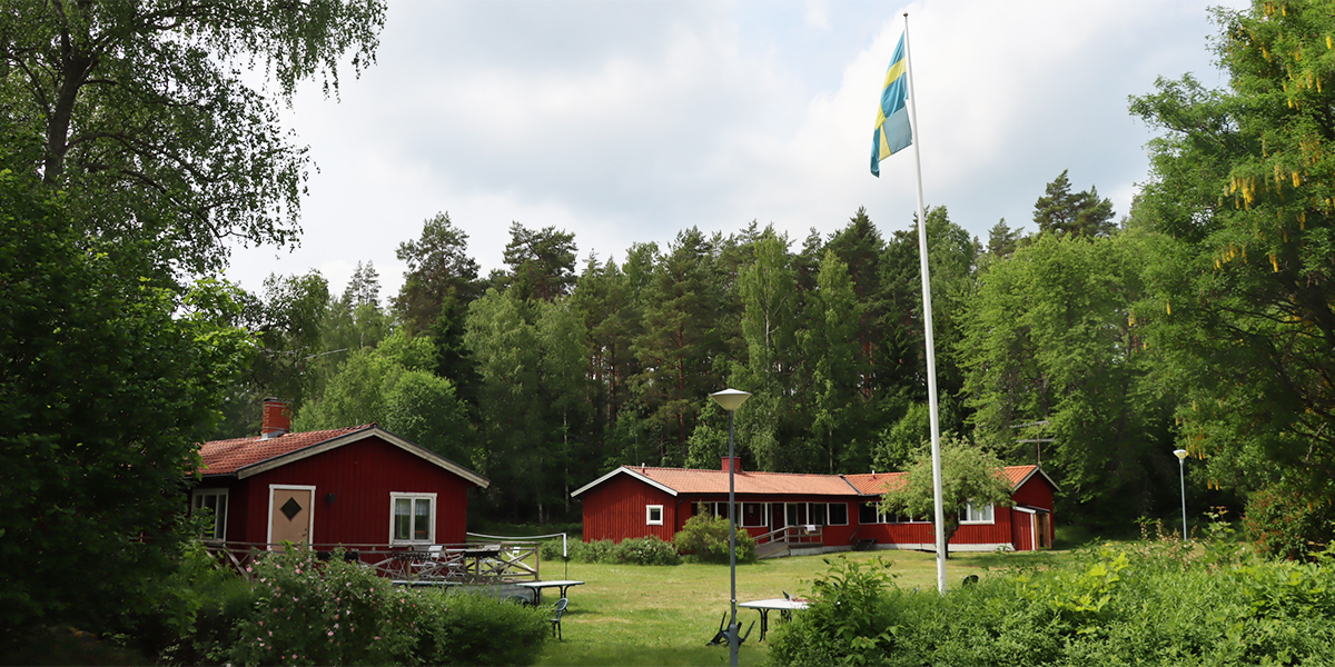 Hus på en kollogård omgiven av skog.