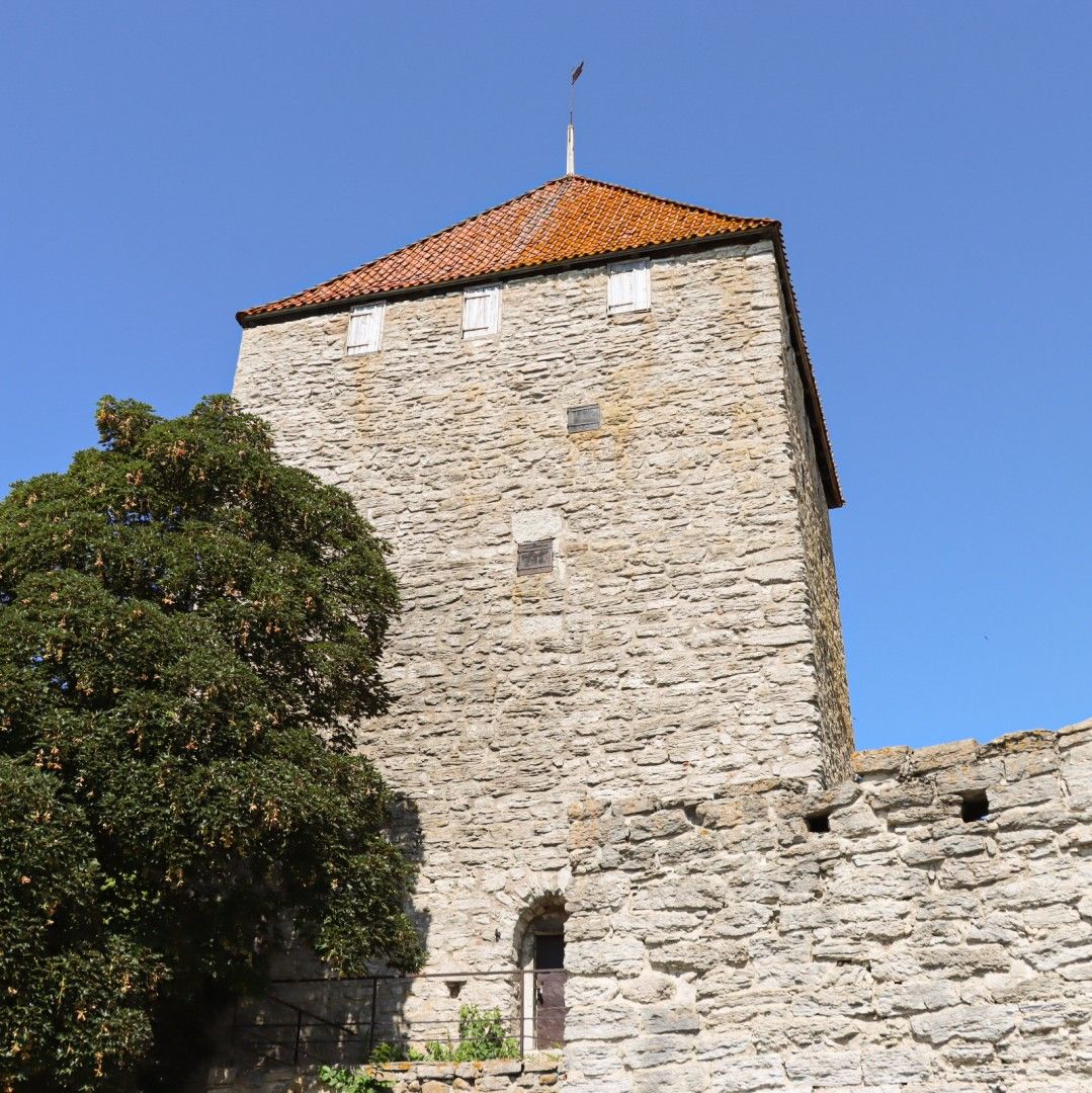 Ringmuren i Visby. Foto: Stockholms Stadsmission