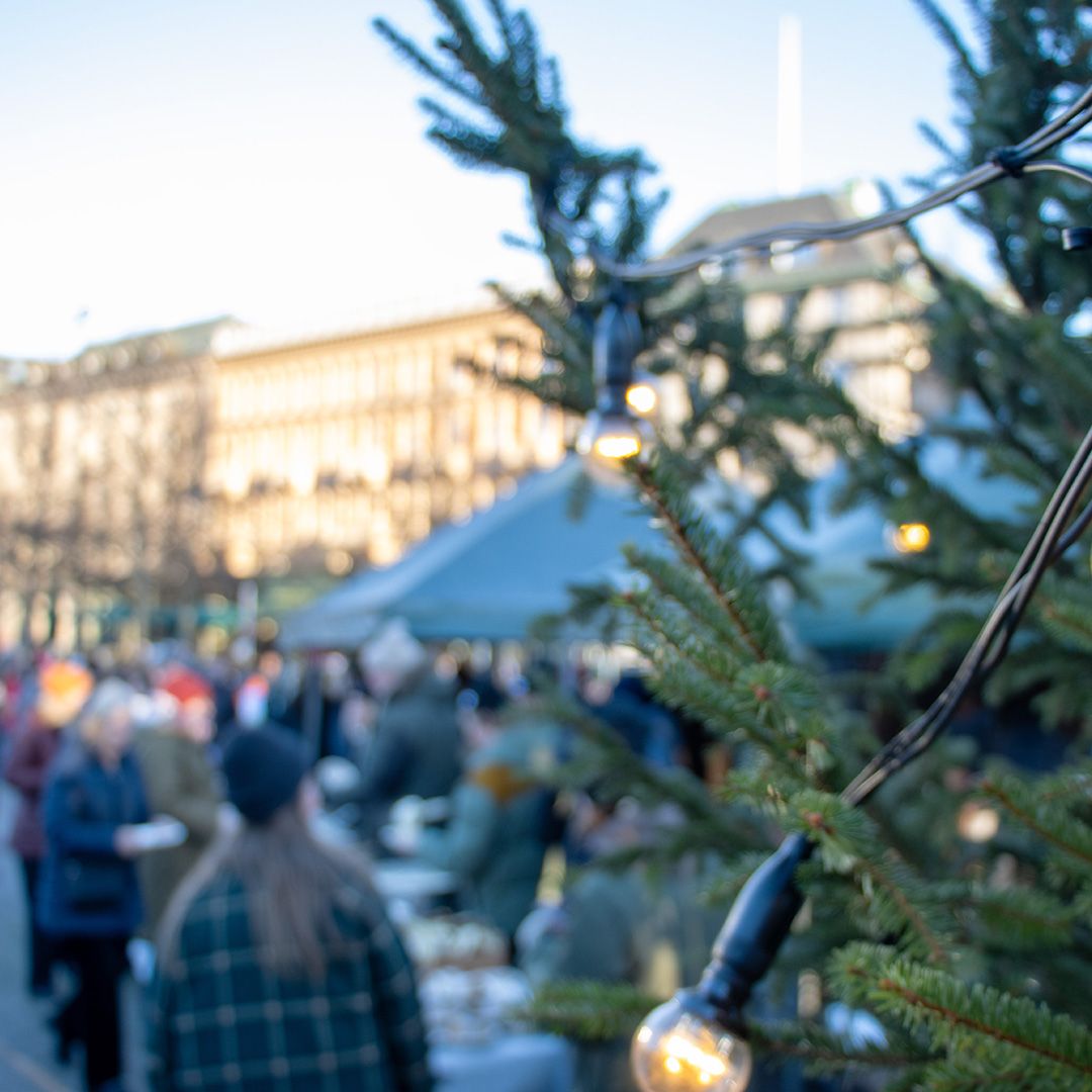 Vy över Kungsträdgården en vinterdag. I förglunden en gran klädd med elljusslinga. 