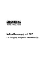 Barn- och Ungdomsrapport 2010: Mellan Hamsterpaj och BUP