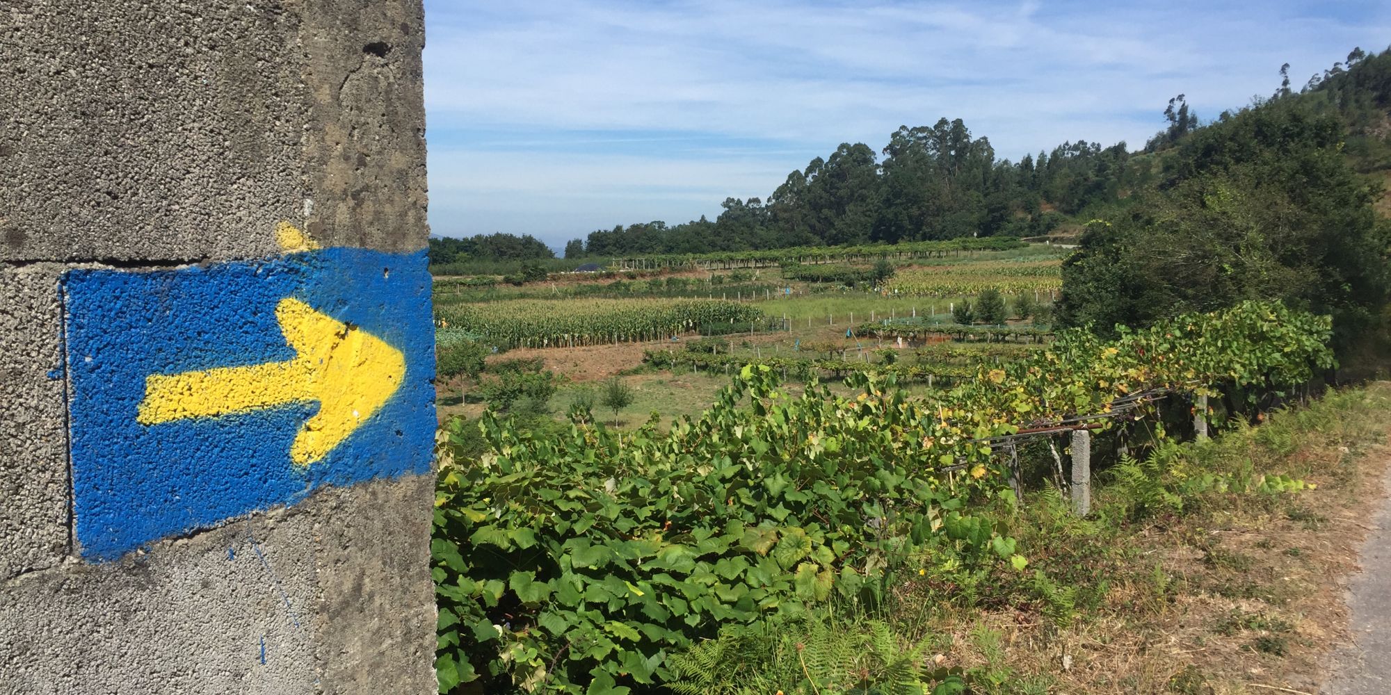 Camino de Santiago