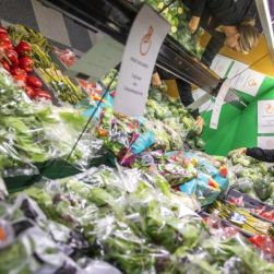 Medarbetare plockar med grönsaker i en Stockholms Stadsmissions Matmissionen-butiker.