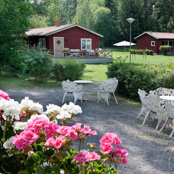 Bild från mötesplats Stenfasta med blommor i förgrunden och röd huslänga i bakgrunden.