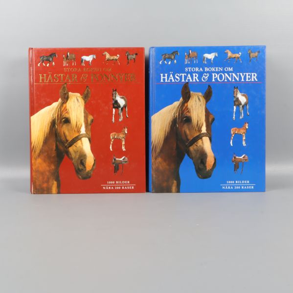 Två stora böcker om hästar och ponnyer med färgrika omslag