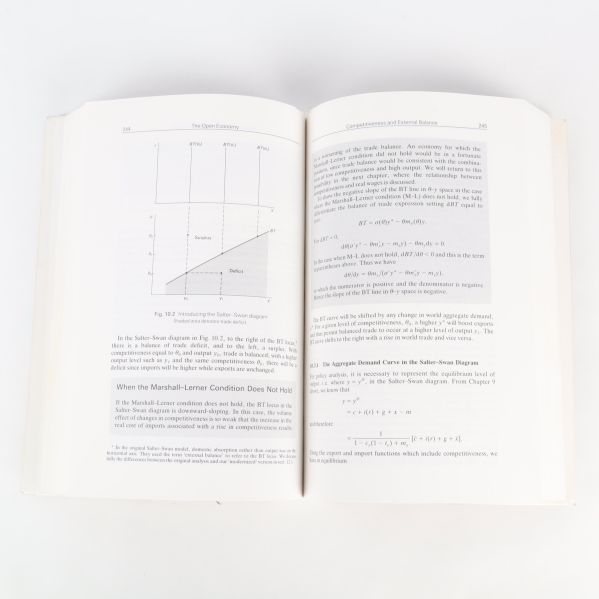 Uppslag med diagram och ekonomiska formler i Macroeconomics and the Wage Bargain