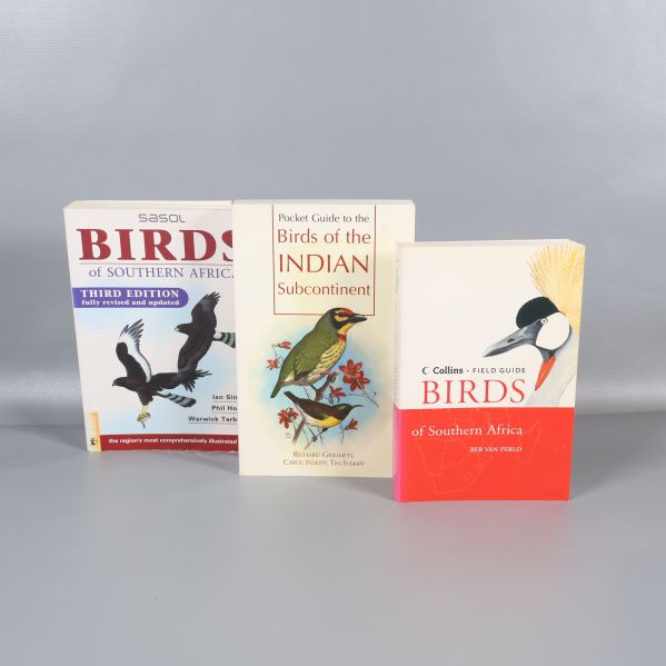 Framsidor på tre fågelguider