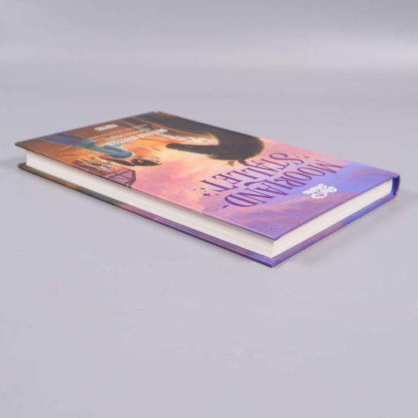 Moorlandstallet Den nya hästen liggande mot ljus bakgrund