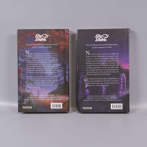 Baksidor av två Ödesryttarna-böcker med sammanfattning av handlingen