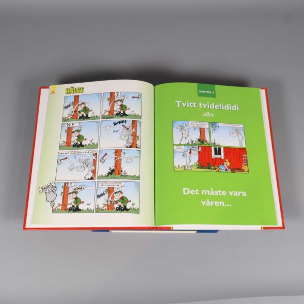 Uppslag med serierutor ur en Hälge-bok och grön kapitelstart