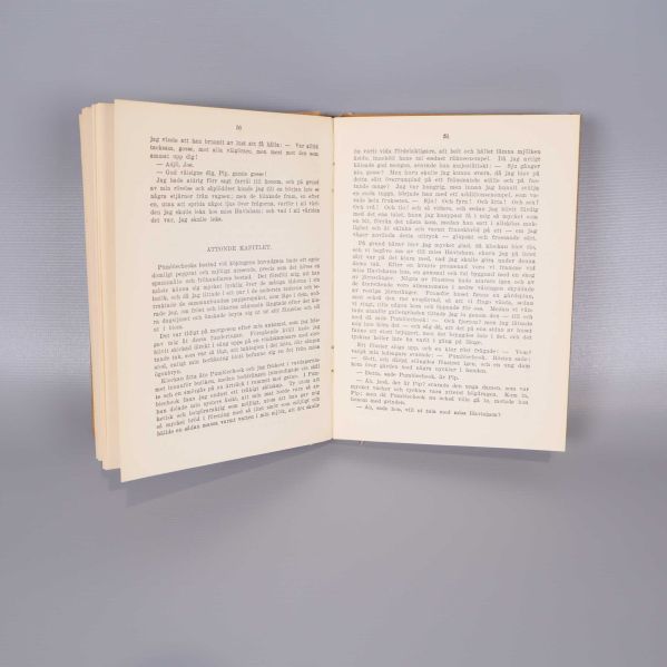 Uppslag ur en bok med svensk text och tydlig tryckstil