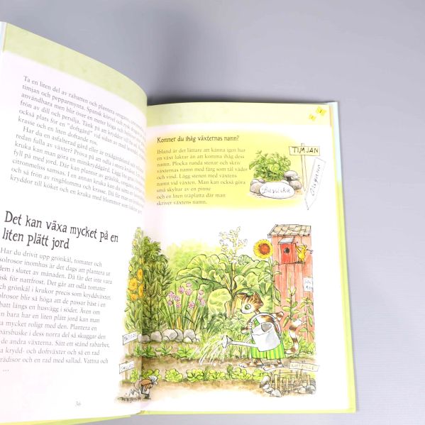 Uppslag med text och illustration på Findus som vattnar växter