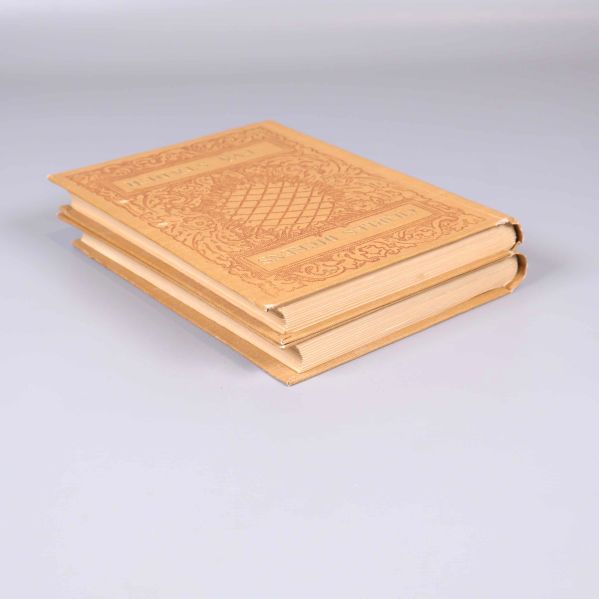 Två böcker av Charles Dickens, Två städer, sedda från sned vinkel