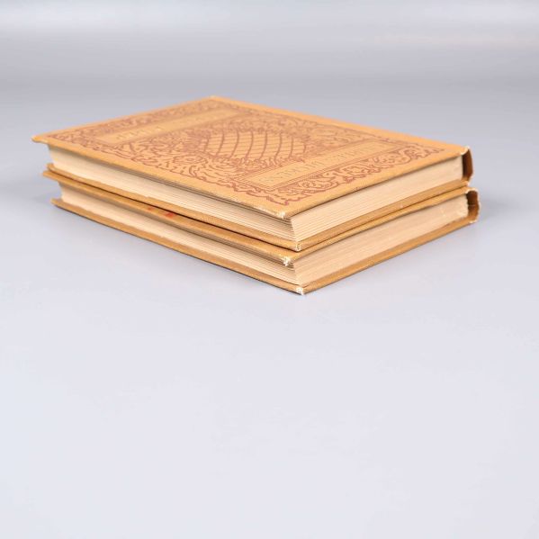 Två böcker med gulbrun rygg och slitna kanter på varandra