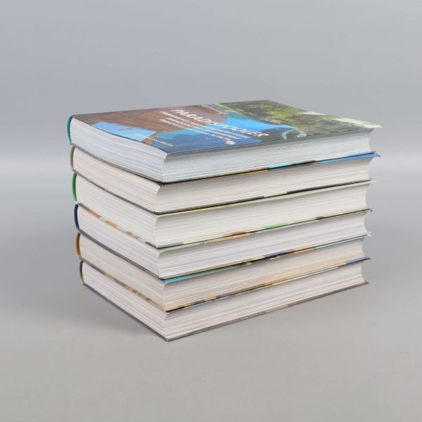 Trave med sex tjocka inbundna böcker med blå och beige omslag