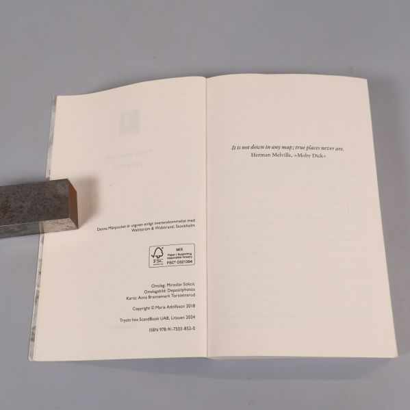 Titelsida och citatsida i boken Felsteg, med ISBN och tryckinformation