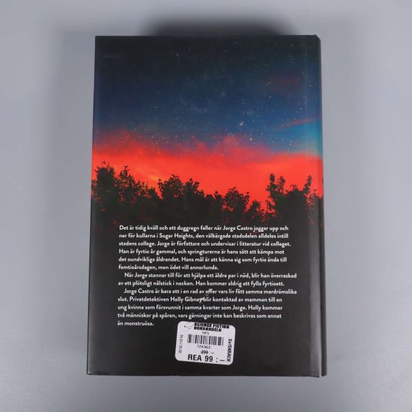 Baksidan av boken Holly med textbeskrivning och kvällshimmel
