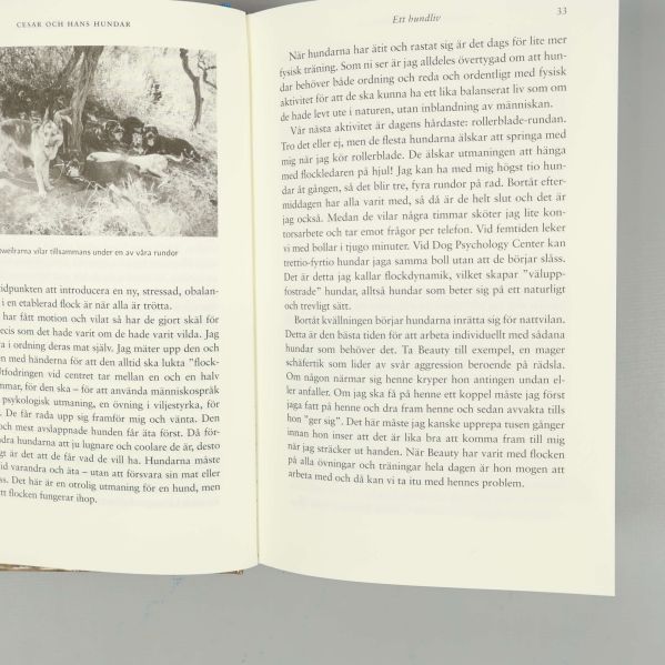 Uppslag ur boken Cesar och hans hundar av Cesar Millan med text och illustration