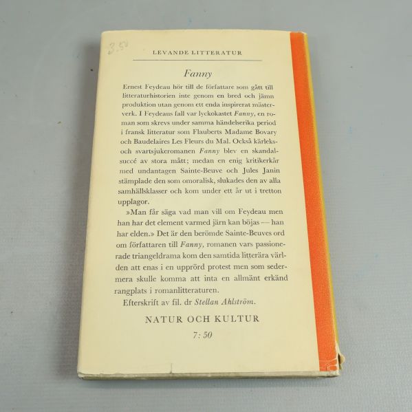 Baksidan av boken Fanny med text om författaren och romanen