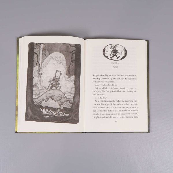 Uppslaget inuti en Legenden om Tann-bok med illustration och text