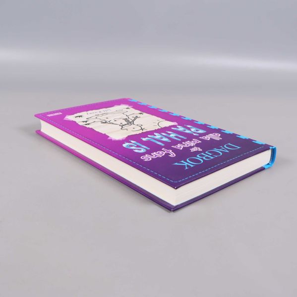 Boken Dagbok för alla mina fans På hal is i vinkel som visar omslag och boktjocklek