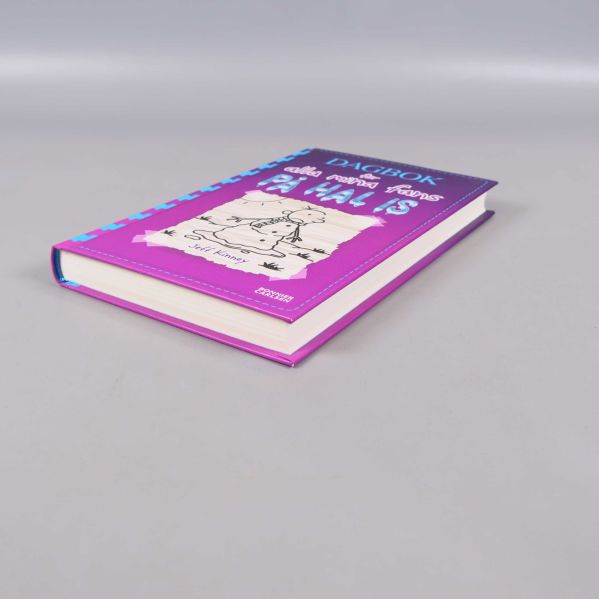 Boken Dagbok för alla mina fans På hal is från andra vinklar, visar framsida och kanter