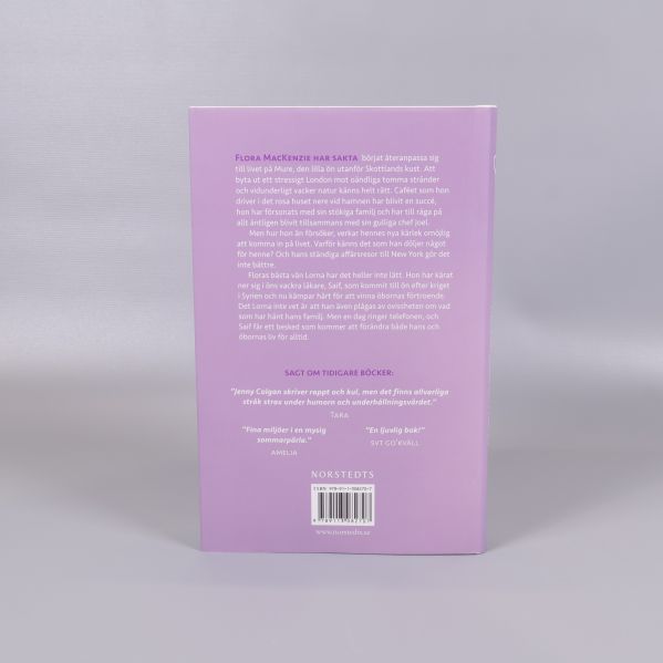 Baksida av boken Tillbaka till den lilla ön i havet, text och ISBN synlig
