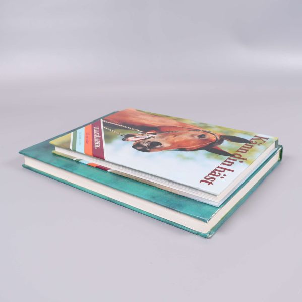 Två böcker staplade på bordet, överkant sedd snett uppifrån