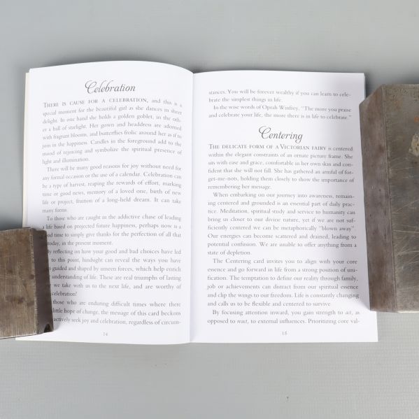 Uppslagen guidebok med engelsk text och två bokklossar på sidorna