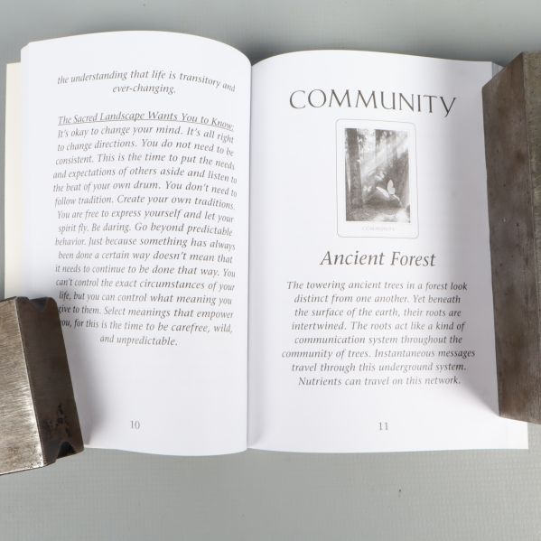 Uppslagen guidebok med text och illustration av äldre skog