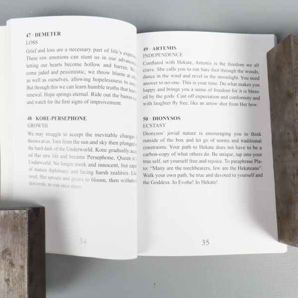 Uppslag ur guideboken med tolkningar av korten