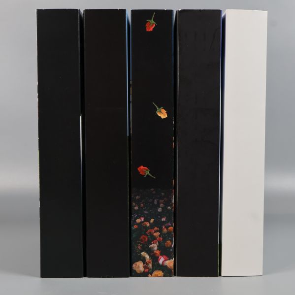 Ryggar av fem DVD-säsongsboxar ordnade bredvid varandra