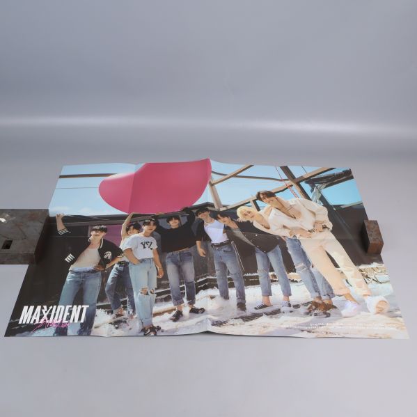 Affisch med gruppmedlemmar från Maxident album