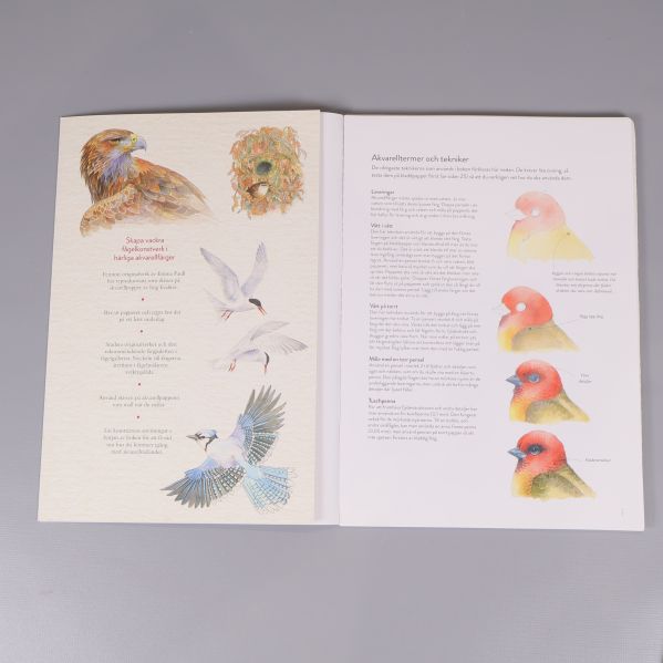 Uppslag i bok med illustrationer av fåglar och beskrivande text