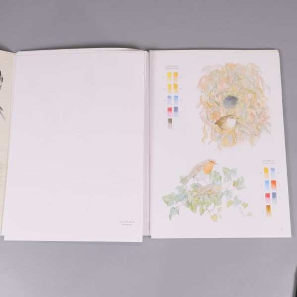Bokuppslag med färgprov och illustration av fågel i bo