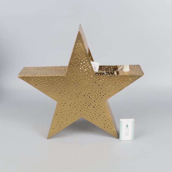 Guldfärgad julstjärna