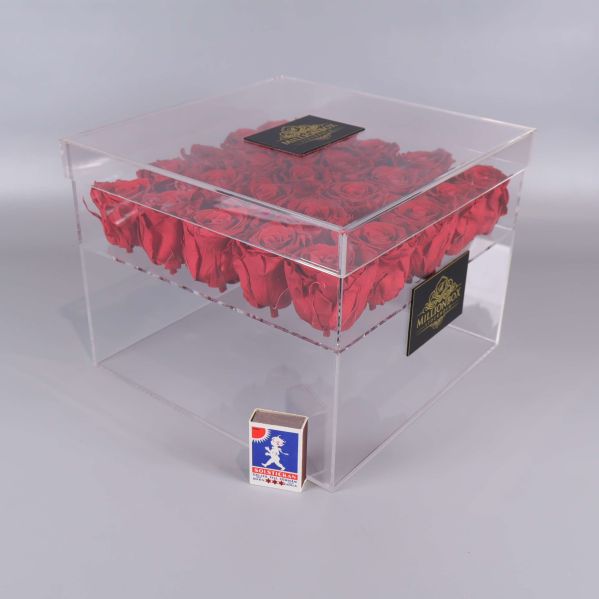 Rosbox med tändsticksask för storleksjämförelse