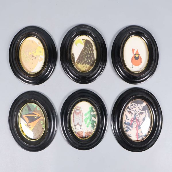 Sex ovala svarta ramar med illustrationer av fåglar