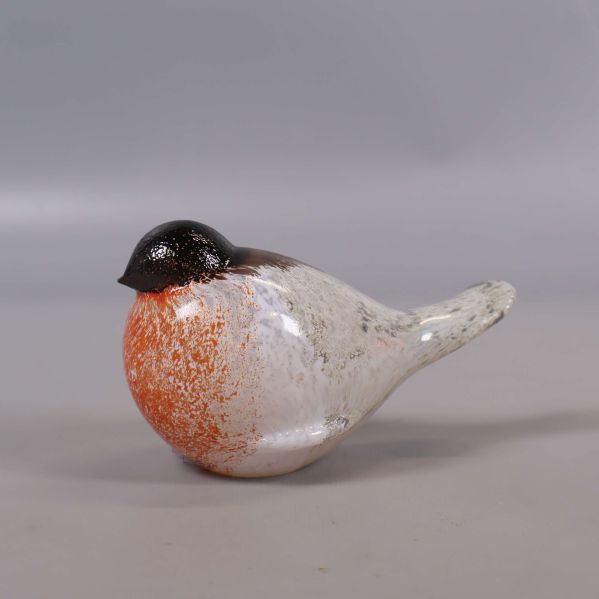 Glasfågel bullfinch visad från andra sidan
