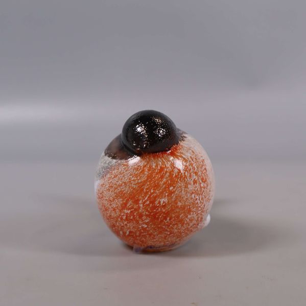 Glasfågel med tydlig orange bröstparti framifrån