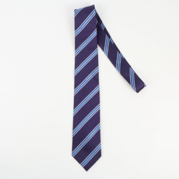 Randig slips i elegant stil Slips med ränder i siden