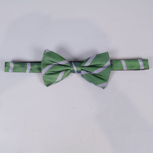 Grön fluga med vita och blå diagonala ränder