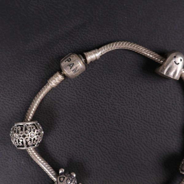 Närbild på armbandets stängning och berlock med text PAN