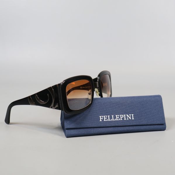 Solglasögon med fyrkantiga bågar och fodral