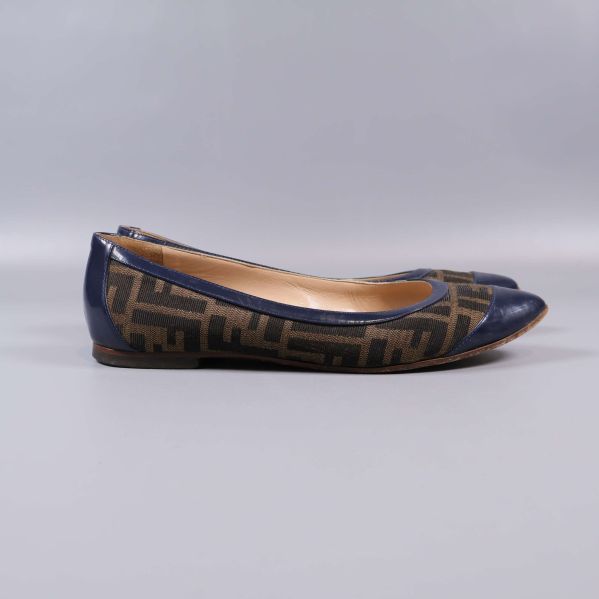 Sidan av ballerinaskor med blå och brun design