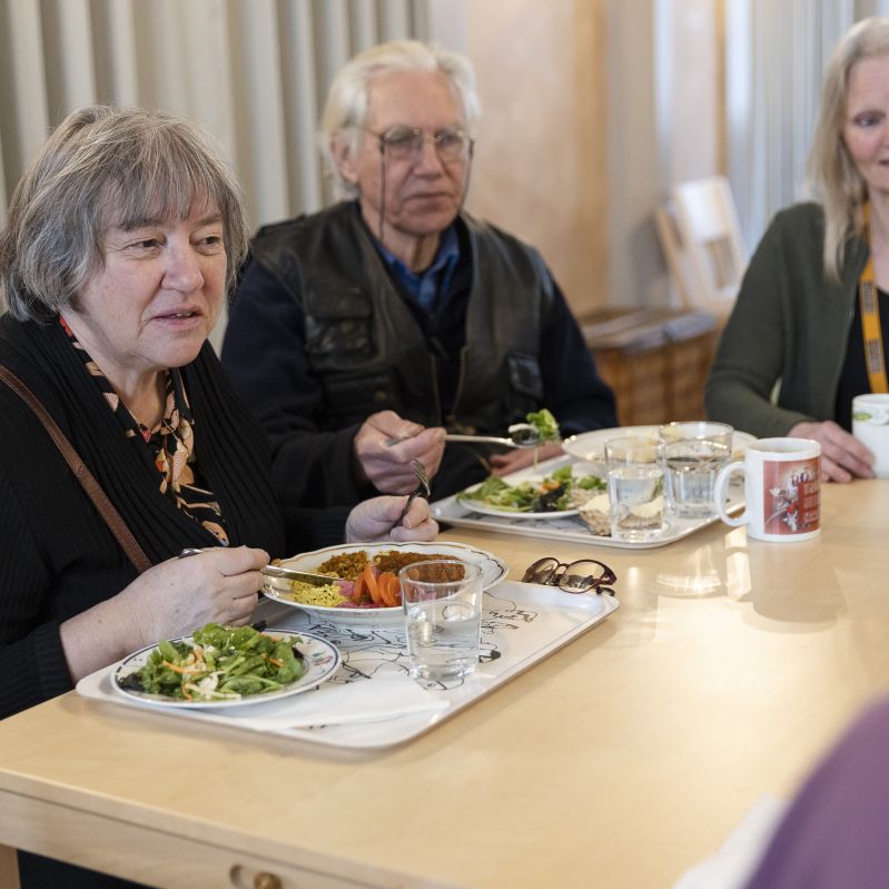 Ett gäng som samtalar
