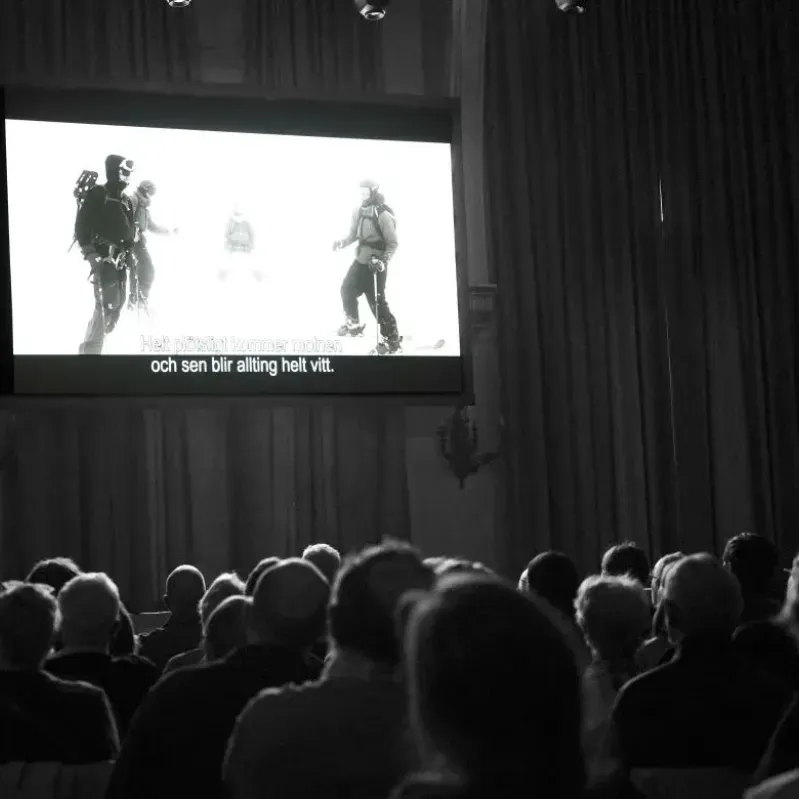personer i en biograf kollar film