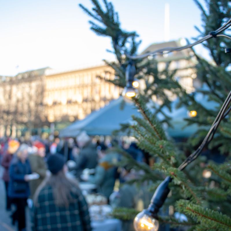 Vy över Kungsträdgården en vinterdag. I förgrunden en gran med elbelysning. 