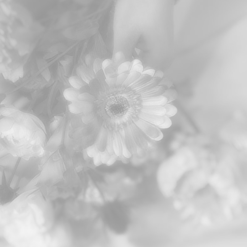Svartvit blomma