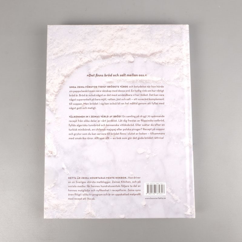 Baksidan av boken med beskrivning och författarinfo